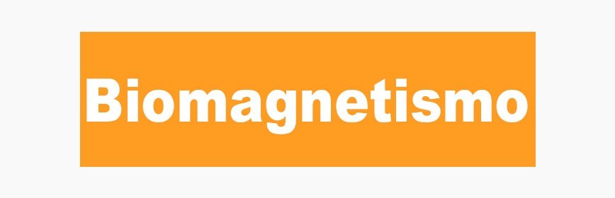 Biomagnetismo y magnetoterapia
